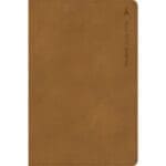 CSB Student Study Bible Ginger (Imitation Leather) - Image 3