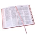 NLV Salm Kunsleer Toeligtingsbybel - Image 35