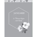 Krag Vir Elke Dag (Hardeband) - Image 20