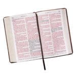 KJV Tan & Brown Faux Leather Standard Bible Giant Print Red Letter - Image 47
