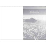 A Mustard Seed (Padded Hardcover) - Image 32