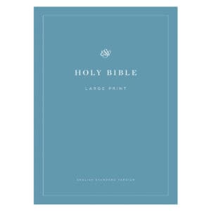 ESV Economy Bible Large Print Blue (Paperback)