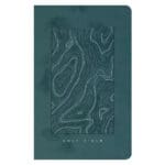 NLT Earthen Teal Blue Imitation Leather Filament Thinline Reference Bible - Image 2
