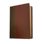 NKJV Life Application Study Bible, Third Ed, Large Print, Red Letter, Mahogany (Immitation Leather) - Image 33