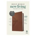 NLT Filament Premium Value Thinline Bible, Filament Enabled, Large Print, Brown Cross (Imitation Leather) - Image 21