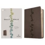NLT Stepping Stones Dark Taupe Imitation Leather Filament Daily Walk Bible - Image 6