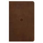 NLT Rustic Brown Imitation Leather Filament Student Life Application Bible Red Letter - Image 7