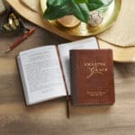 Amazing Grace: God's Love to Rescue and to Restore - 366 Devotions (Faux Leather) - Image 11
