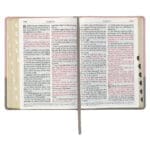 KJV Pink And Grey Faux Leather Bible Super Giant Print - Image 46