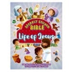 Life of Jesus - Sparkly Sticker Bible (Paperback)